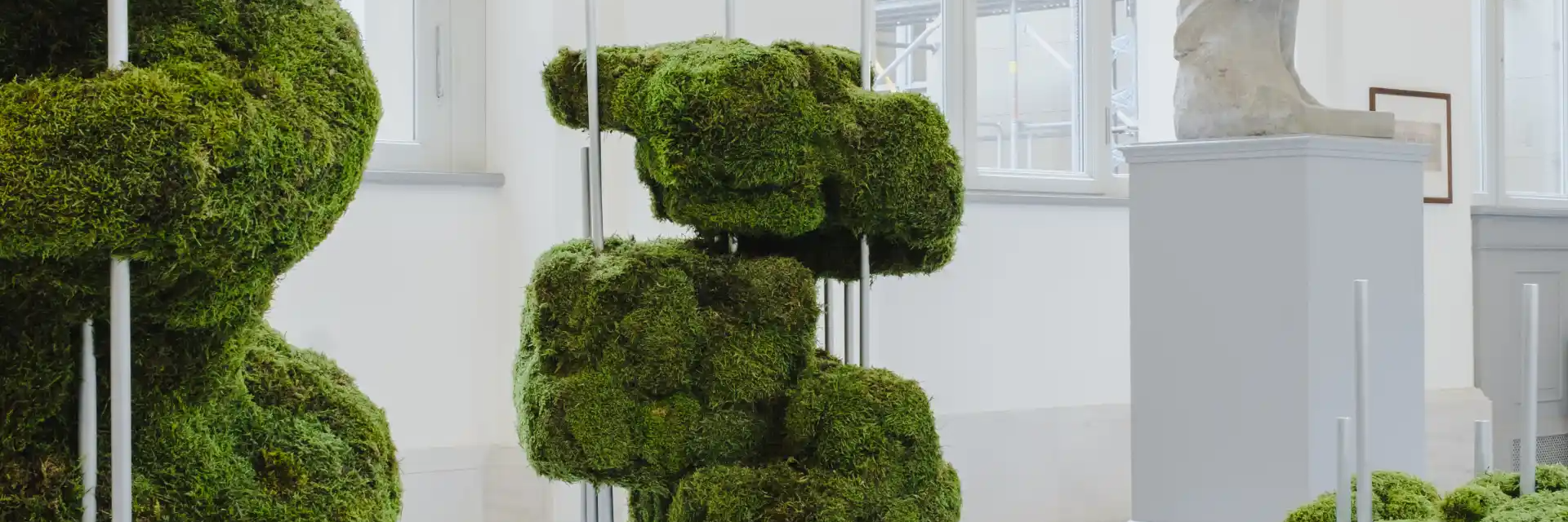 THE ARCHITECTURE OF NATURE